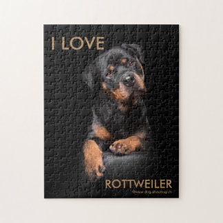 Quebra-cabeça Rottweiler