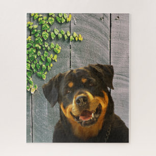 Quebra-cabeça Rottweiler Smiling Jigsaw Puzzle