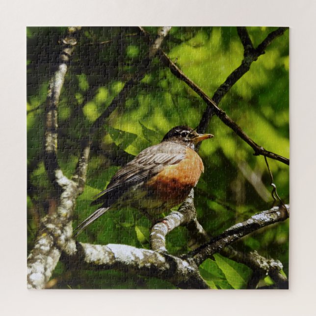 Quebra-cabeça Round Robin (Vertical)