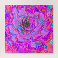 Roxo e Magenta - Sena Rosette Suculente