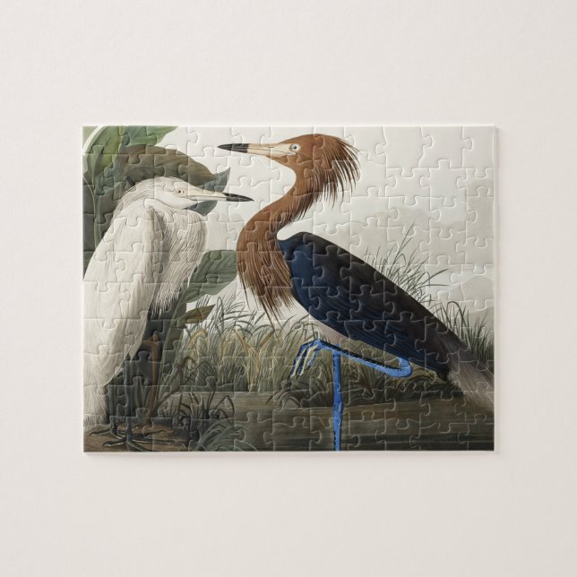 Quebra-cabeça Roxo Heron de Birds da América (Horizontal)