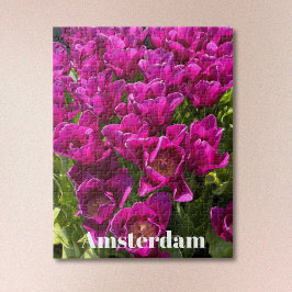 Quebra-cabeça Roxo Tulipas de Amsterdã Jigsaw Puzzle