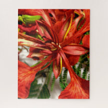 Quebra-cabeça Royal Poinciana