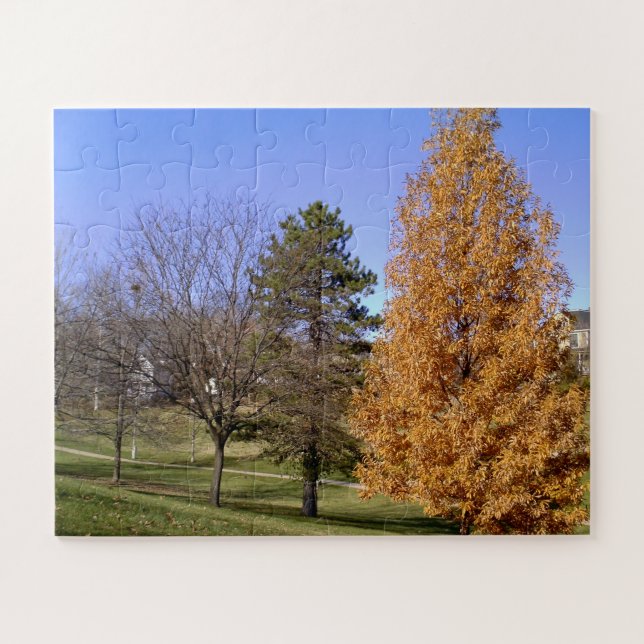Quebra-cabeça Rua Louis, MO Clifton Park Fall Trees Quebra-cabeç (Horizontal)