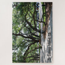 Rua Simons Island Live Oak Trees