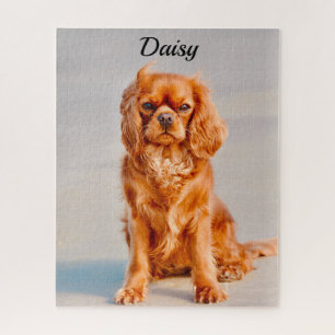 Quebra-cabeça Ruby Cavalier King Charles Spaniel Dog