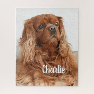 Quebra-cabeça Ruby Cavalier King Charles Spaniel Dog