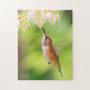 Quebra-cabeça Rufous Hummingbird Esfrega Néctar do Flor de Aroma