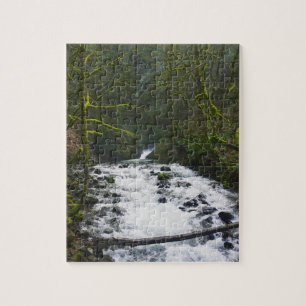 Quebra-cabeça Runoff from Bridal Veil Falls, Oregon