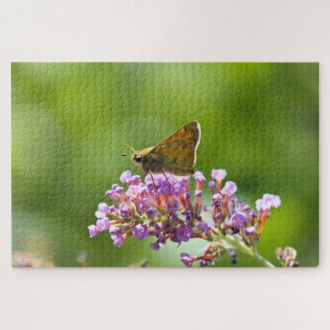 Quebra-cabeça Sachem (Atalopedes campestris) (Horizontal)