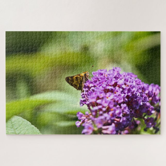 Quebra-cabeça Sachem (Atalopedes campestris) (Horizontal)