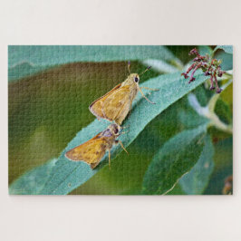 Quebra-cabeça Sachem (Atalopedes campestris)