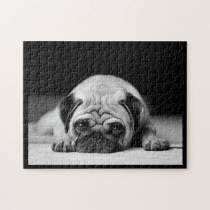 Quebra-cabeça Sad Pug