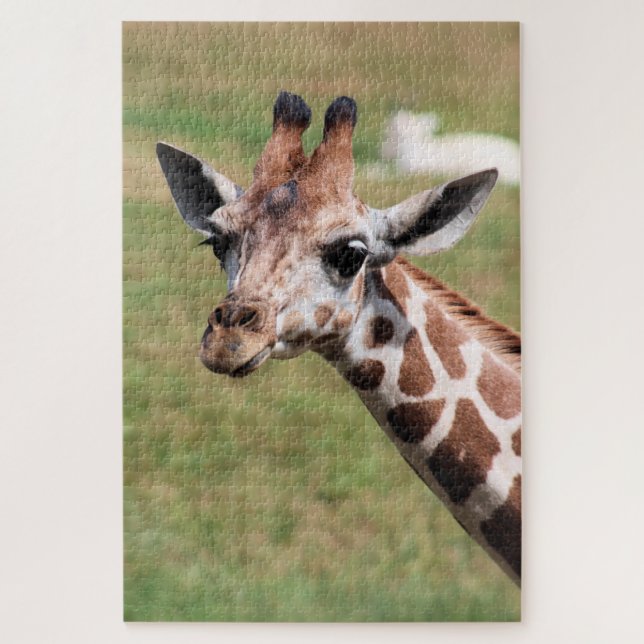 Quebra-cabeça Safari em Des Moines (Vertical)