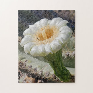 Quebra-cabeça Saguaro in Bloom Puzzle, 11" x 14", 252 pieces