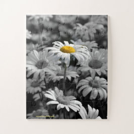 Quebra-cabeça Saída