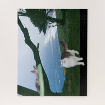 Quebra-cabeça - Saída em um Limb