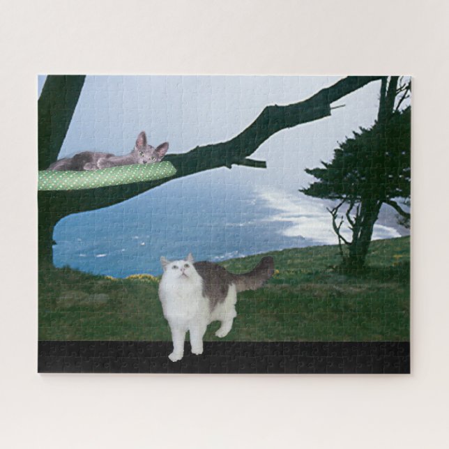 Quebra-cabeça - Saída em um Limb (Horizontal)