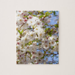 Quebra-cabeça Sakura Flor de Cerejeira Japão Quioto