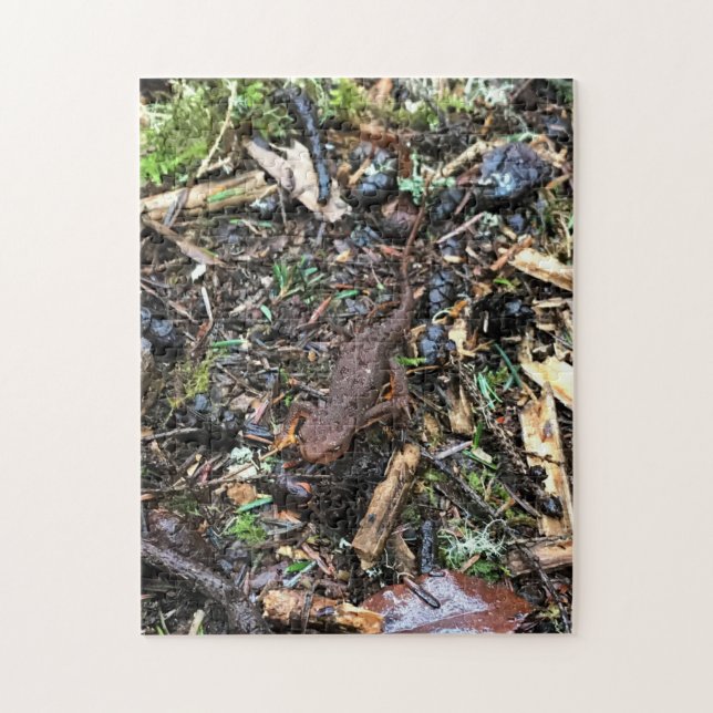 Quebra-cabeça Salamander in the Forest, Washington (Vertical)