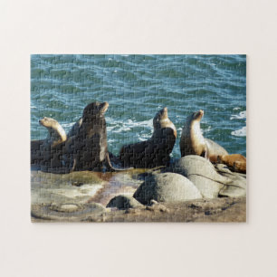 Quebra-cabeça San Diego Sea Lions