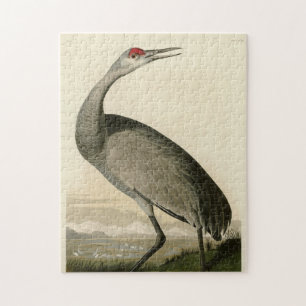 Quebra-cabeça Sandhill Crane das Aves da América de Audubon