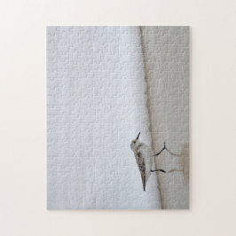 Quebra-cabeça Sandpiper Shorebird Beach House