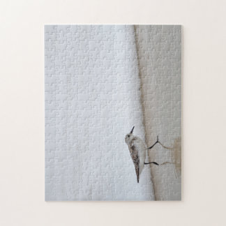 Quebra-cabeça Sandpiper Shorebird Beach House