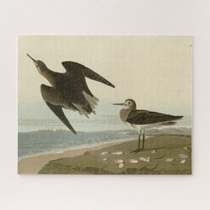 Quebra-cabeça Sanduíche de Schinz das Aves da América de Audubon