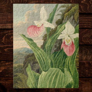 Quebra-cabeça Sapatinho Rosa Floral Vintage Orquídea Botânica