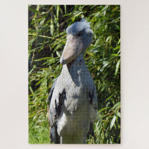 Quebra-cabeça Sapato (Balaeniceps rex)