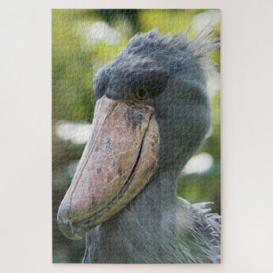 Quebra-cabeça Sapato (Balaeniceps rex)