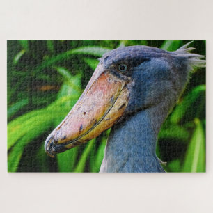 Quebra-cabeça Sapato (Balaeniceps rex)