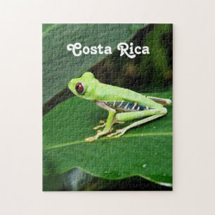 Quebra-cabeça Sapo de árvore de Costa Rica