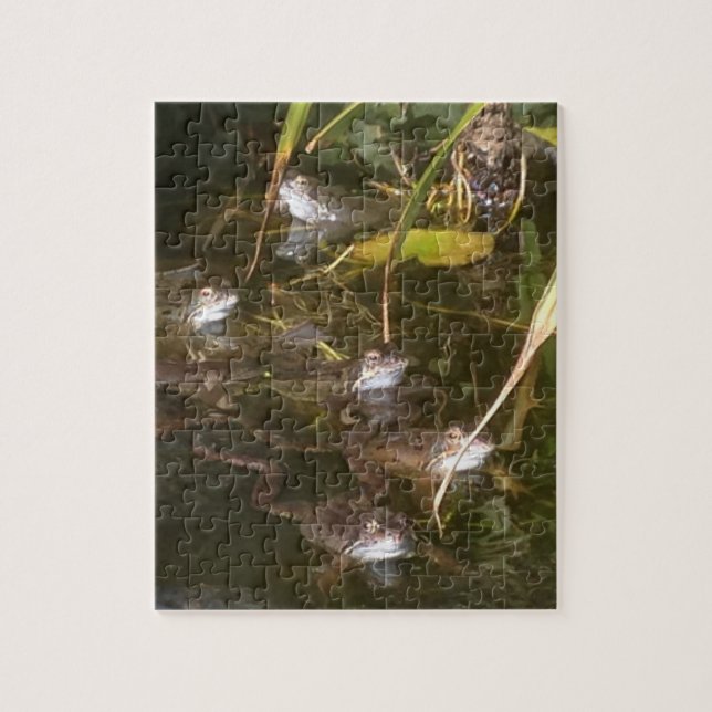 Quebra-cabeça Sapos, sapos e mais sapos (Vertical)