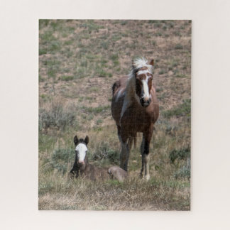 Quebra-cabeça Sapphire & Turcoise
