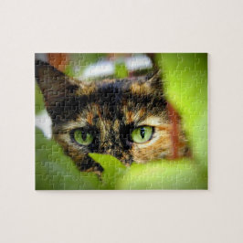 Quebra-cabeça Sasha