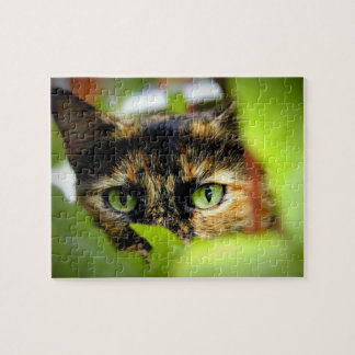 Quebra-cabeça Sasha