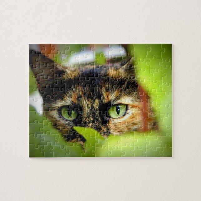 Quebra-cabeça Sasha (Horizontal)