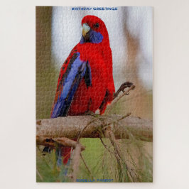 Quebra-cabeça Saudações de Aniversário Rosella Parrot