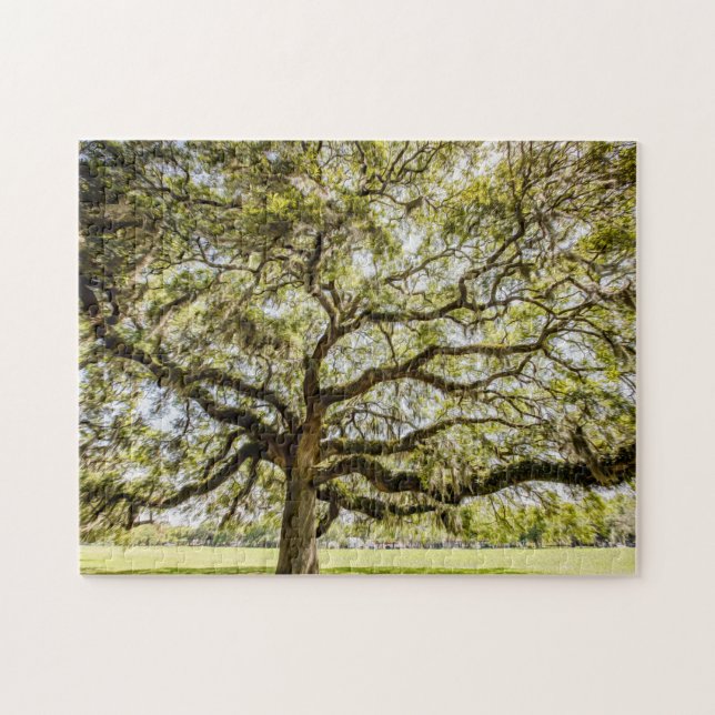 Quebra-cabeça Savannah Mighty Oak Souvenir Desafiando Quebra-cab (Horizontal)