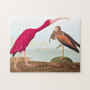 Quebra-cabeça Scarlet ibis por John James Audubon