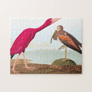 Quebra-cabeça Scarlet ibis por John James Audubon
