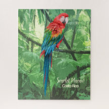 Scarlet Macaw Costa Rica Design Jigsera Quebra-cab