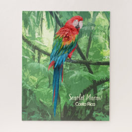 Quebra-cabeça Scarlet Macaw Costa Rica Design Jigsera Quebra-cab