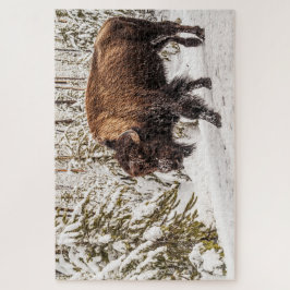 Quebra-cabeça Scary Bison (Bison bison) - Buffalo - peça 1014