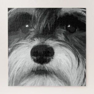 Quebra-cabeça Schnauzer diminuto