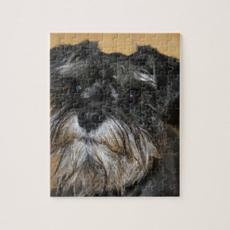 Quebra-cabeça Schnauzer diminuto