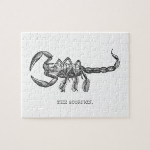 Quebra-cabeça Scorpion animal gift scary animals