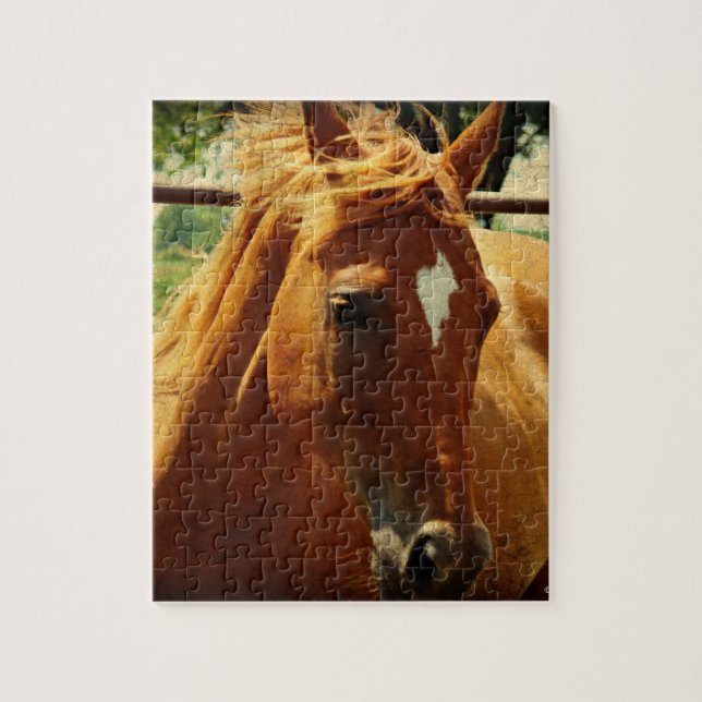 Quebra-cabeça Scotch (Vertical)